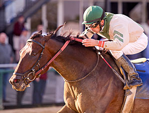 Abstraction Angles Clear, Wins Federico Tesio Abstraction Angles Clear, Wins Federico Tesio