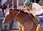 Abstraction Angles Clear, Wins Federico Tesio Abstraction Angles Clear, Wins Federico Tesio