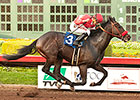 Unbeaten Acceptance Rolls On in King Glorious Unbeaten Acceptance Rolls On in King Glorious