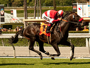 Acclamation Scratched from Inglewood Acclamation Scratched from Inglewood
