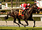 Acclamation Scratched from Inglewood