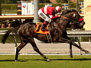 Acclamation Named Cal-bred Horse of the Year Acclamation Named Cal-bred Horse of the Year