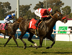 Unusual Heat Moved to Harris Farms Unusual Heat Moved to Harris Farms