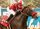 Acclamation Goes for 3rd Straight Whittingham Acclamation Goes for 3rd Straight Whittingham