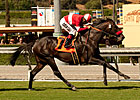 No Stopping Acclamation in Clement Hirsch