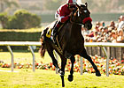 Acclamation Keeps Rolling in Eddie Read Acclamation Keeps Rolling in Eddie Read