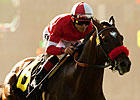 Acclamation to Stand at Old English Rancho Acclamation to Stand at Old English Rancho