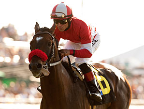 Acclamation to Miss Breeders' Cup With Injury Acclamation to Miss Breeders' Cup With Injury