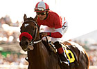 Acclamation to Miss Breeders' Cup With Injury Acclamation to Miss Breeders' Cup With Injury