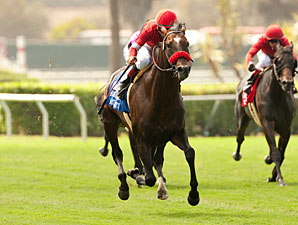 Acclamation Wins Eddie Read for 7th Straight Acclamation Wins Eddie Read for 7th Straight