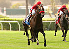 Acclamation Likely Out of Pacific Classic Acclamation Likely Out of Pacific Classic