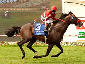 Warren Plots Course for Acclamation's Season Warren Plots Course for Acclamation's Season