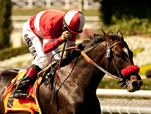 Acclamation Diagnosed With 'Mild Strain' Acclamation Diagnosed With 'Mild Strain'