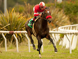 Acclamation Easily Best in Jim Murray Defense Acclamation Easily Best in Jim Murray Defense