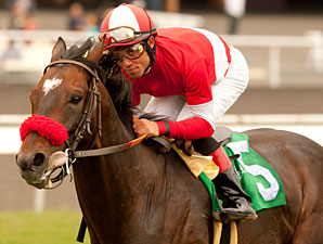 Acclamation Shortens Up for Eddie Read Stakes Acclamation Shortens Up for Eddie Read Stakes