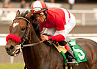 Acclamation Shortens Up for Eddie Read Stakes Acclamation Shortens Up for Eddie Read Stakes