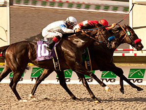 Acclamation Pulls Off Pacific Classic Heist Acclamation Pulls Off Pacific Classic Heist