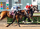 Breeders' Cup Chat: Coming Up Aces