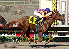 Outsider Achiever's Legacy Wins Desi Arnaz Outsider Achiever's Legacy Wins Desi Arnaz