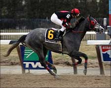 Kentucky Derby Trail: Lurking in the Wings Kentucky Derby Trail: Lurking in the Wings