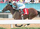 Acoma Takes Command in Azeri Stakes