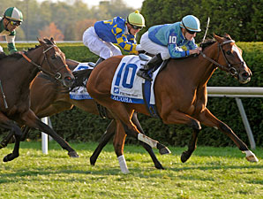 Acoma Wins Turf Debut in Valley View Acoma Wins Turf Debut in Valley View