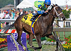 Acting Happy Pulls Black-Eyed Susan Upset Acting Happy Pulls Black-Eyed Susan Upset