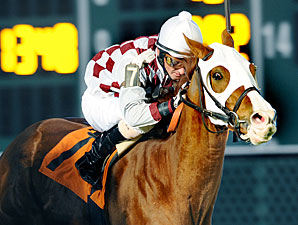 Two Go For Three Straight in FG Handicap Two Go For Three Straight in FG Handicap