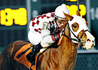 Two Go For Three Straight in FG Handicap Two Go For Three Straight in FG Handicap