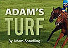 Adam's Turf: A Year of Finishes