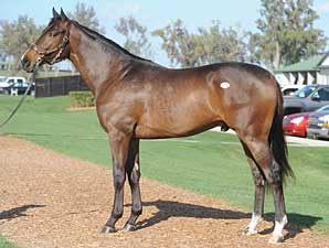 Adena Springs Sale Median Rises 28.6% Adena Springs Sale Median Rises 28.6%