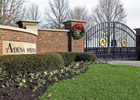 Many Stallion Farms Holding Open Houses