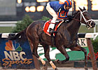 Major Mares Adieu, Tacha Dead Major Mares Adieu, Tacha Dead