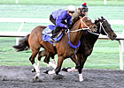 Three Blue Grass Hopefuls Work at Keeneland