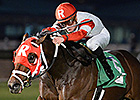 Surging Admiral Kitten Wins Connally Turf Cup Surging Admiral Kitten Wins Connally Turf Cup
