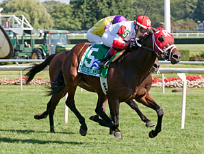 Secretariat is Admiral Kitten's First Grade I Secretariat is Admiral Kitten's First Grade I