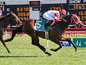 Admiral Kitten Faces Familiar Foes in Jamaica Admiral Kitten Faces Familiar Foes in Jamaica