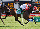 Admiral Kitten Faces Familiar Foes in Jamaica Admiral Kitten Faces Familiar Foes in Jamaica
