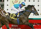 Admire Moon Sold to Godolphin