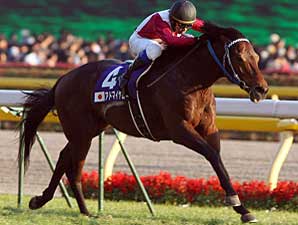 Admire Moon Hangs on For Japan Cup Admire Moon Hangs on For Japan Cup