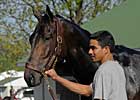 Pletcher: Two In Derby; Two Undecided