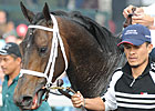 Advice Tries Turf in Jefferson Cup Advice Tries Turf in Jefferson Cup