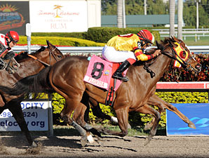 Aegean By a Nose in Filly & Mare Sprint Upset Aegean By a Nose in Filly & Mare Sprint Upset
