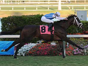 Nine Entered for Grade III Hill Prince Nine Entered for Grade III Hill Prince
