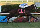Nine Entered for Grade III Hill Prince Nine Entered for Grade III Hill Prince