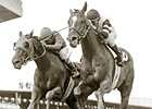 Cauthen, Pincay Recall Affirmed's Progression