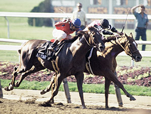 Affirmed's Owner Ready to Pass the TC Torch Affirmed's Owner Ready to Pass the TC Torch