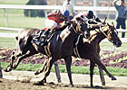 Affirmed's Owner Ready to Pass the TC Torch Affirmed's Owner Ready to Pass the TC Torch