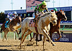 BC Winner Afleet Again Headlines Valedictory