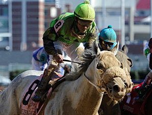 Afleet Again, 41-1, Steals BC Marathon Afleet Again, 41-1, Steals BC Marathon